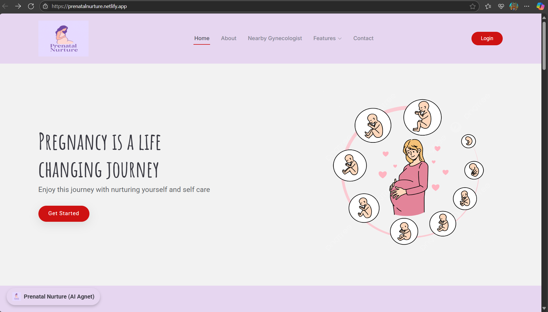 Prenatal Nurture Screenshot